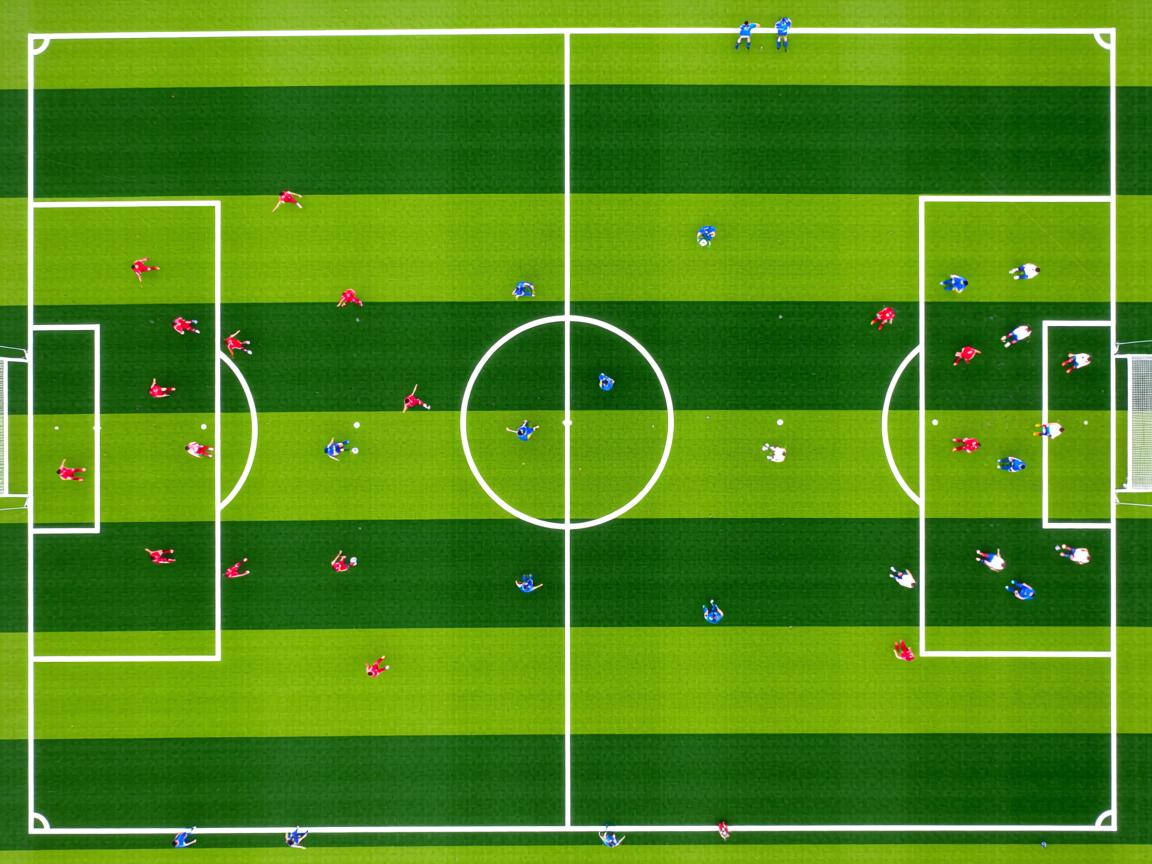 国家体育政策改革座谈会召开聚焦公平与透明，国家体育体制改革  第2张