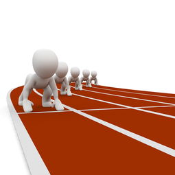 体育新闻中心启动年度运营规划,体育新闻工作 第2张