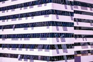 体育新闻中心推进体育智库体系建设，体育专题报道